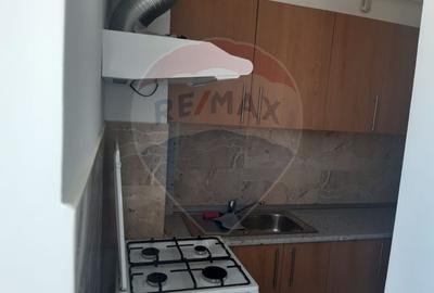 Apartament cu 1 camere de închiriat - 9