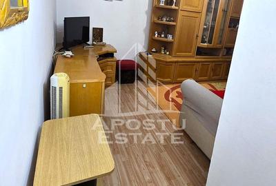 Garsoniera Micalaca Orizont - 6