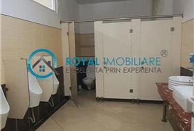 Royal Imobiliare - inchirieri spatii birouri, zona Vest - 16