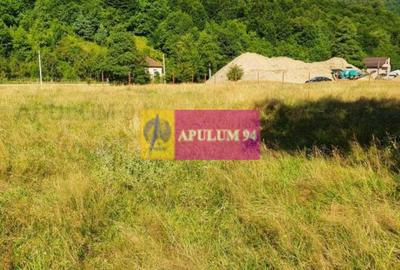 Teren Județul Vâlcea - Brezoi, Valea lui Stan - 3