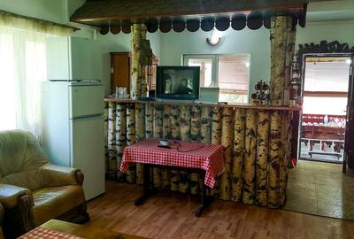 Casa de vacanta perfecta pe malul Cernei - 11