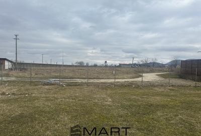 Teren Intravilan 1000 mp Rasnov - 5