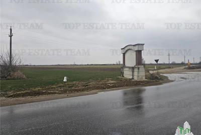 Teren comercial 7169mp la baza nod km35 pe A1 - 8