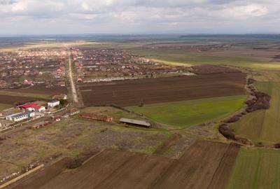 Fermă cu teren intravilan de 35000 mp în Mișca - 29