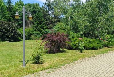 PARADISUL VERDE. PARCELA DE TEREN 1363 MP. LOT SPECIAL. RETRAS - 2