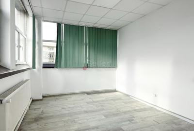 Pozitionare Centrala - Hub Office + Comercial - 6