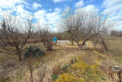 Teren intravilan 4800 mp, investitie,  utilitati complete, Dancas Miroslava - 6