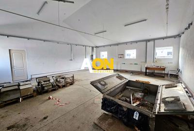 HALĂ Industrială/Producție 573mp, Teren 2793mp, DJ 107F, Comision 0 - 7