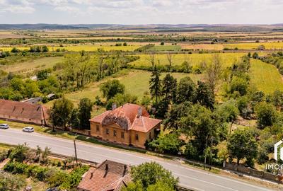 Vila Conac boieresc contelui Fabia 1920 de vânzare Păuliș Arad 2,4 ha - 16