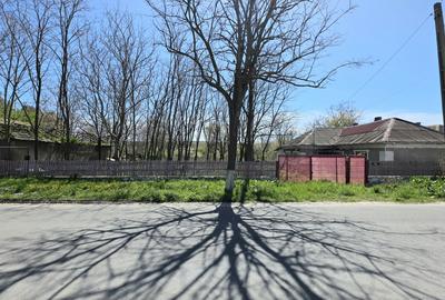 Teren intravilan 2760 MP in Sibioara, Jud. Constanta, ideal pentru investitie - 6