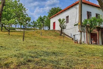 Investiție rară în Bihor - 15