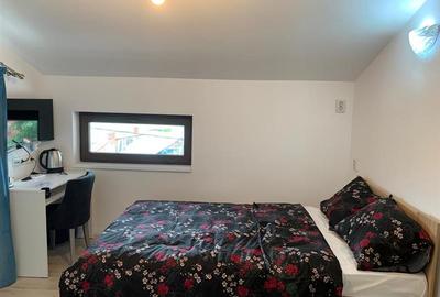 INCHIRIERE VILA 14 camere, Bariera Bucov - 13