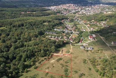 Teren intravilan constructii 1 ha, zona exclusivista, Meses/Bradet/Episcopie - 1