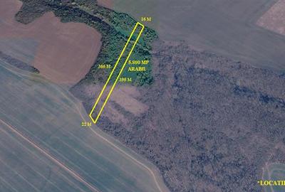 Nicolint, 2 Terenuri Extravilane, Arabil, 1.45 Hectare - 3