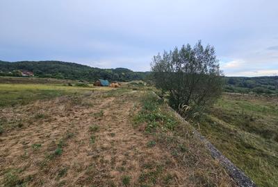 Teren localitatea Balata - 2