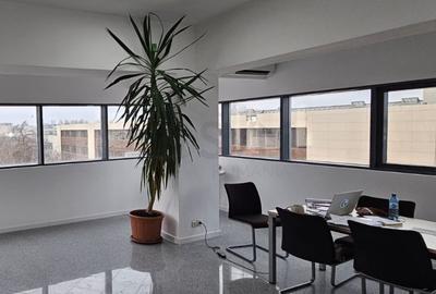 REC3001705 Spatiu comercial I Baneasa - 6
