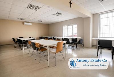 Antony Estate | Vanzare Hala - 2019 mp, Borsului - Oradea - 4