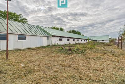 Hală pentru producție / fermă zootehnică  - Variaș - 15