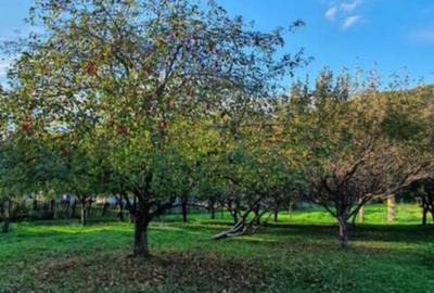Puciosa Moreni Valea Lunga Sat Izvoru 20000mp teren de vanzare - 1