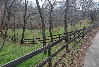 Teren de vanzare in Valea Doftanei 7000 mp - intravilan - 1
