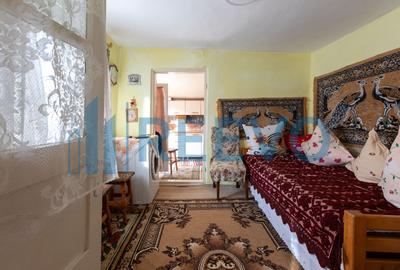 Casa si teren 3365mp Sascut - 22