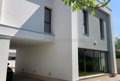 PIPERA COMPEX DE INCHIRIAT VILA MODERNA - 2