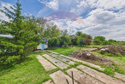 Casă 65 mp + teren 4000 mp, livadă, Butimanu - 22