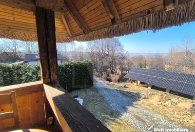 Casa rustica, exclusivista, 5 camere, 170 mp utili, 550 mp teren, Salicea - 22