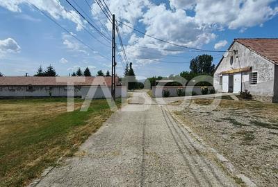 Platforma industriala cu cladiri de vanzare in Salistea de Alba - 26