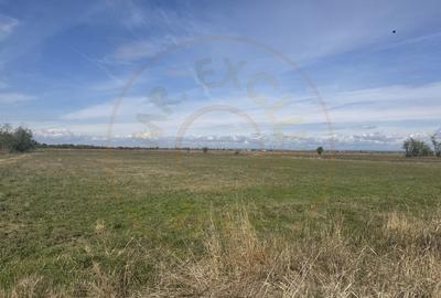 Teren Intravilan com. Ratesti - 1