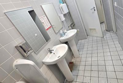 Militari Iuliu Maniu Stradal 91mp Liber Trafic Intens Merita Vazut - 2