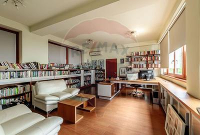 Proprietate speciala 1022 mp utili de vanzare pe Malul Muresului Arad - 18