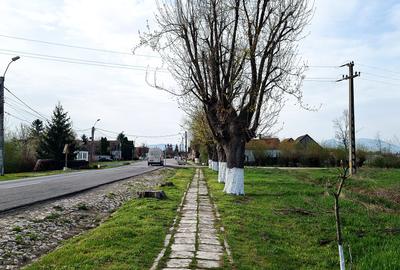 TEREN INTRAVILAN DE 2134 MP CU DRUM PROPRIU ÎN PREJMER – IDEAL PENTRU INVESTIȚIE - 1