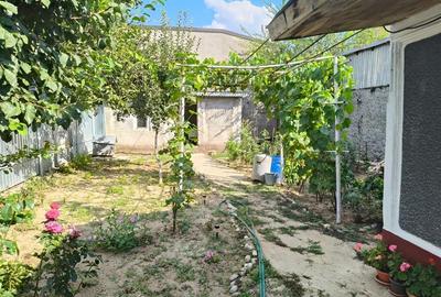 Casa 4 camere, Radu Negru - Buzaului, Teren - 264 mp - 3