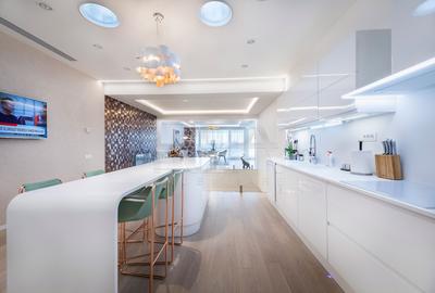 Penthouse Cartierul Francez - Herastrau | Excelenta designului - 11