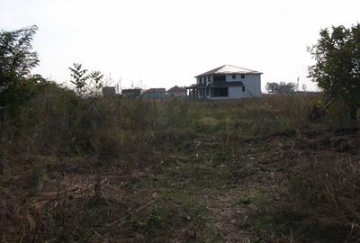 Teren 1,25 ha intravilan - 5