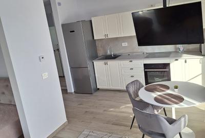Apartament tip studio, mobilat modern zona Aradului - 1