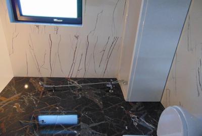 DE la DEZVOLTATOR casa PARTER placa de beton la pod incalzire in pardoseala - 19