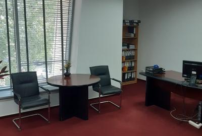 Birouri, Showroom, Sala de prezentari, Depozit , functiuni multiple - 13