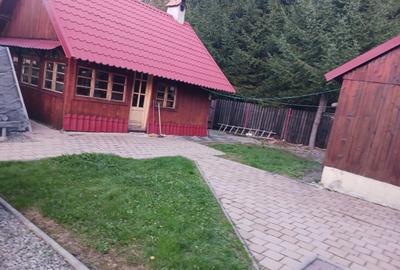 CASA DE VACANTA LA DOMENIUL SCHIABIL SUREANU LUNCILE PRIGOANEI - 6