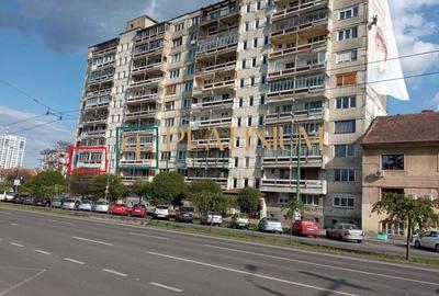 Medicină, Timișoara