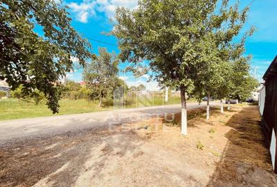 Casa individuala cu teren generos - Pecica - 25