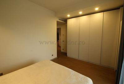 Iancu Nicolae-British School duplex  - 3 dormitoare - 18