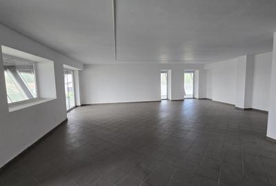 Spatiu comercial de inchiriat Podul Constanta - Chitila - Bucurestii Noi - 14