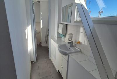 De vanzare Hală Industrială Premium cu Poziție TOP în Pantelimon - 12