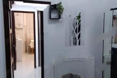 Apartament 2 Camere,Piata Romana,parter/8,DECOMANDAT,Amenajat,centrala,mobilat, - 9