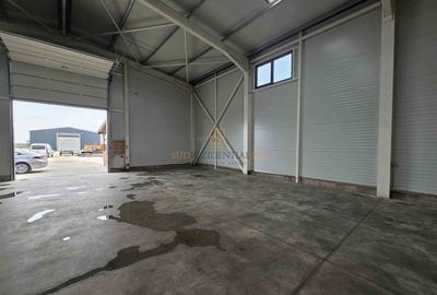 Hală industrială de vânzare – Localizare strategică DNCB | Măgurele - 16