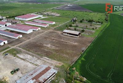 Teren intravilan cu suprafata de 58.340 mp, in Sanmartinul Sarbesc - 8