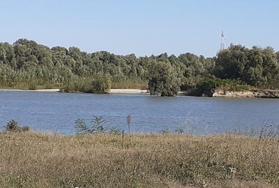 OCAZIE : INTRAVILAN com. MURIGHIOL - 19 euro/m.p. Deschidere Dunare  74 m. - 13