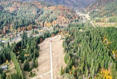 Poiana lui Manole - teren Intravilan - 21